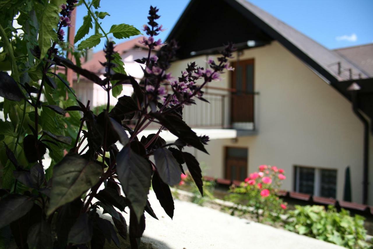 Apartma Center Bovec Kültér fotó